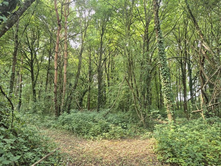 Image No.6-4 Bed House for sale