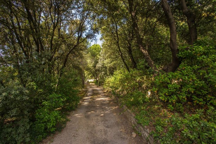 Image No.13-7 Bed House for sale