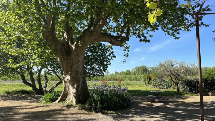 Image No.6-10 Bed House for sale