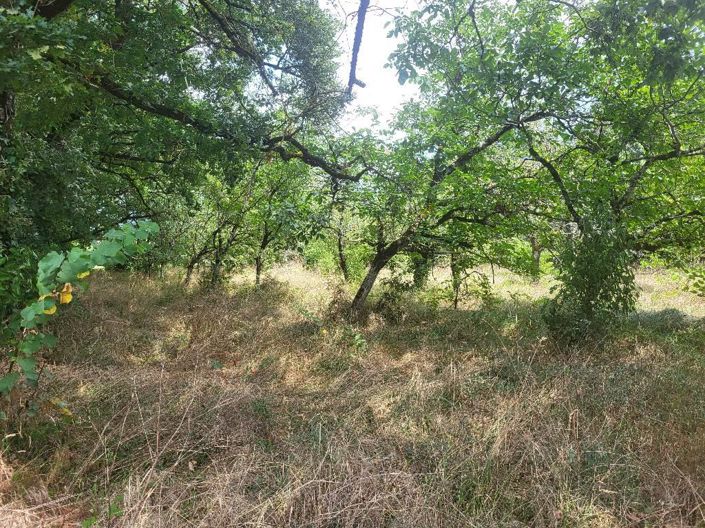 Image No.3-Maison à vendre à Dordogne