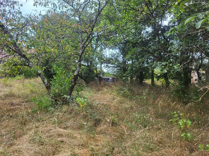 Image No.4-House for sale