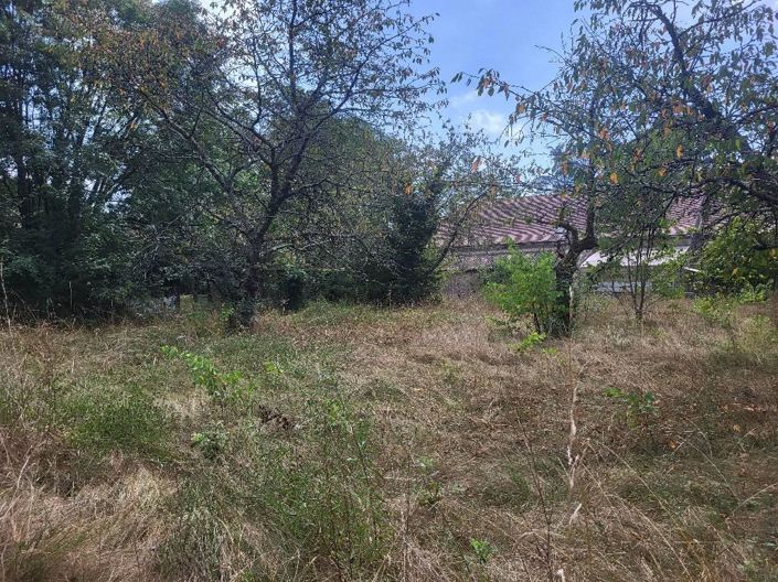 Image No.5-House for sale