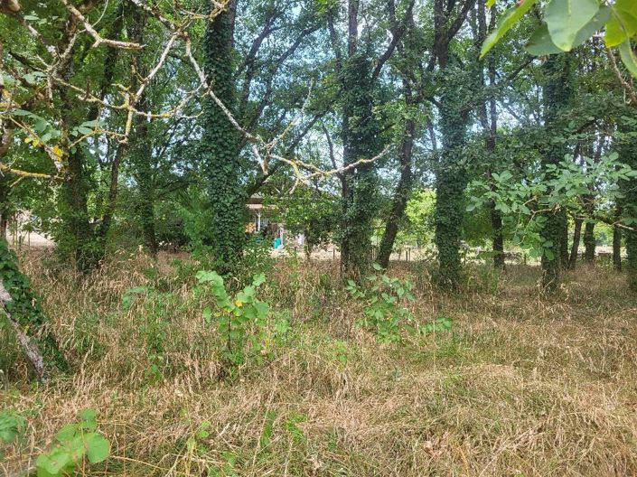 Image No.7-Maison à vendre à Dordogne