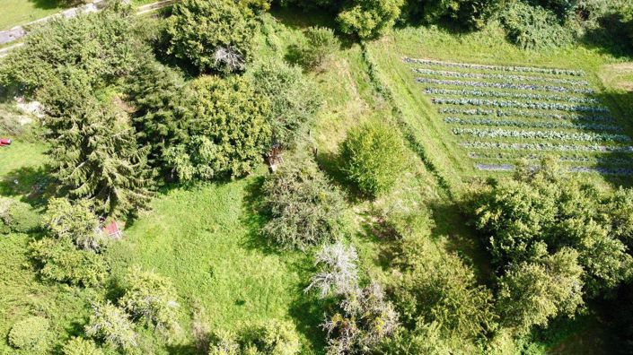 Image No.22-3 Bed House for sale