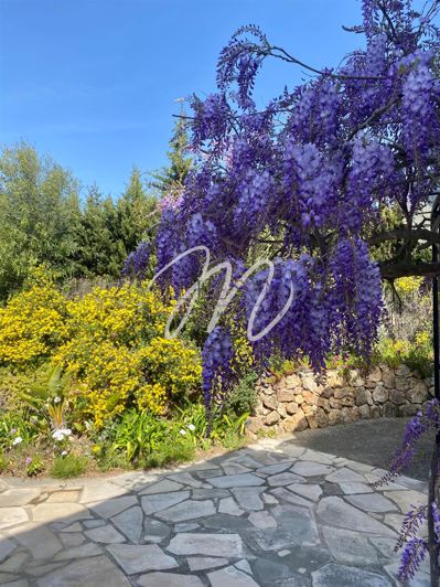 Image No.13-4 Bed House for sale