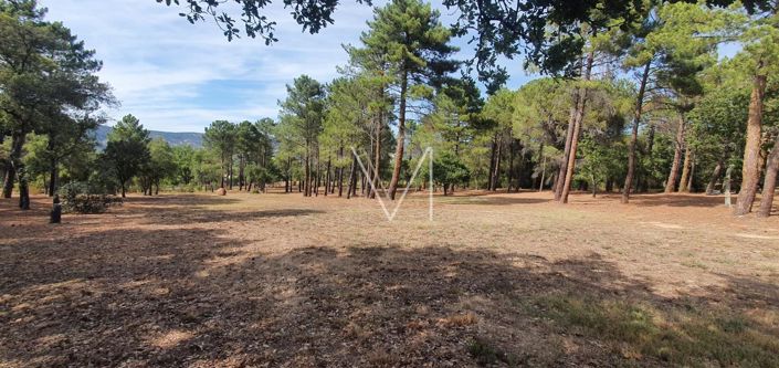 Image No.7-5 Bed House for sale