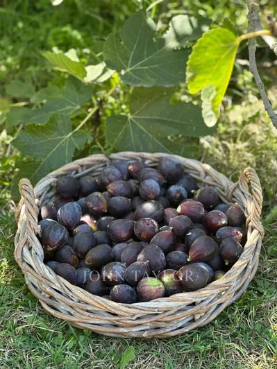 Image No.12-Maison de 7 chambres à vendre à Mouans-Sartoux