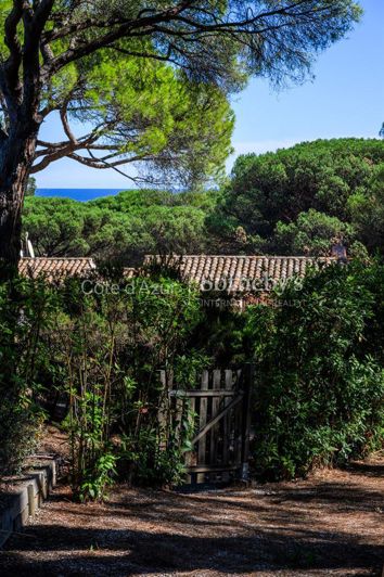 Image No.20-2 Bed House for sale