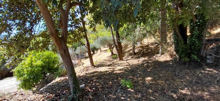 Image No.9-Maison de 3 chambres à vendre à Bargemon