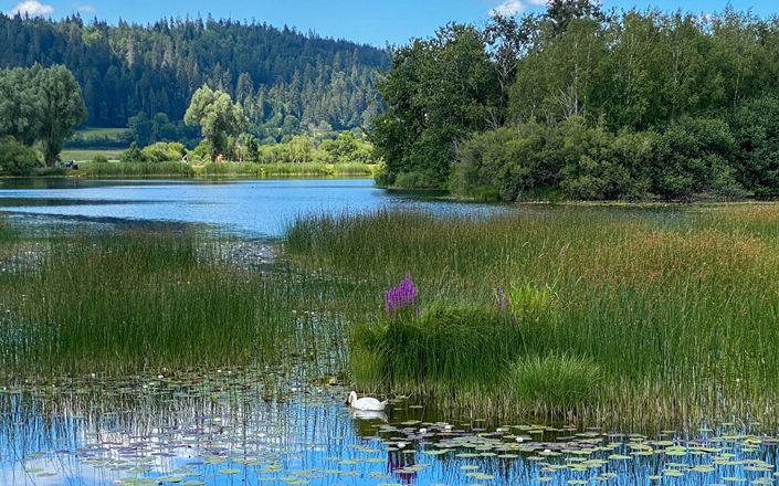 Image No.17-4 Bed Property for sale