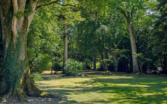 Image No.18-Propriété de 6 chambres à vendre à Baccarat