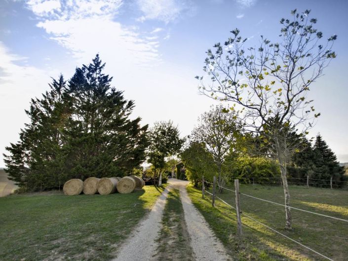 Image No.20-Maison de 3 chambres à vendre à Vic-Fezensac