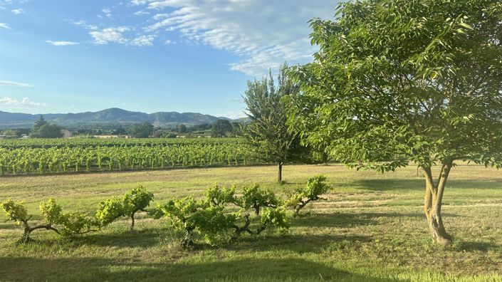 Image No.9-5 Bed House for sale