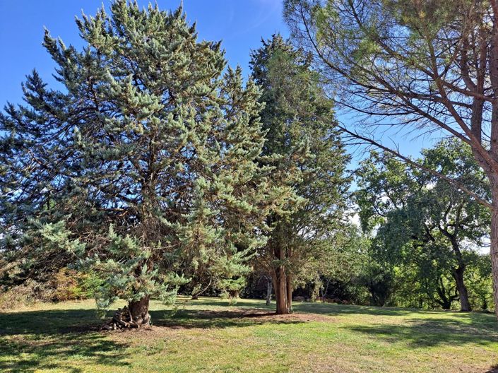 Image No.27-Maison de 4 chambres à vendre à Lectoure