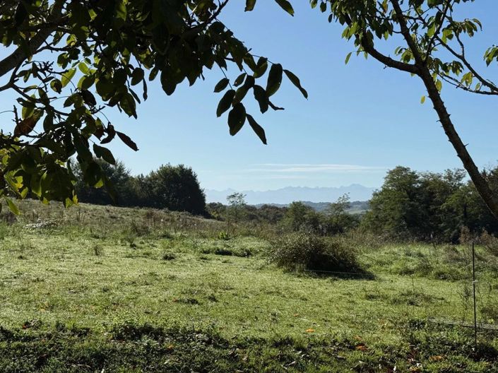 Image No.10-4 Bed House for sale