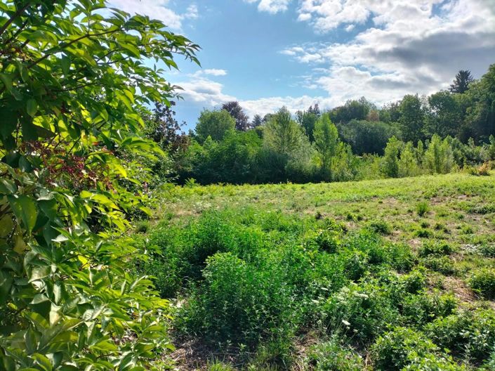 Image No.24-Maison de 5 chambres à vendre à Publier