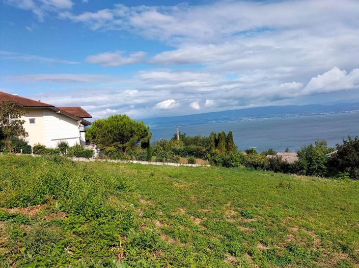 Image No.25-5 Bed House for sale