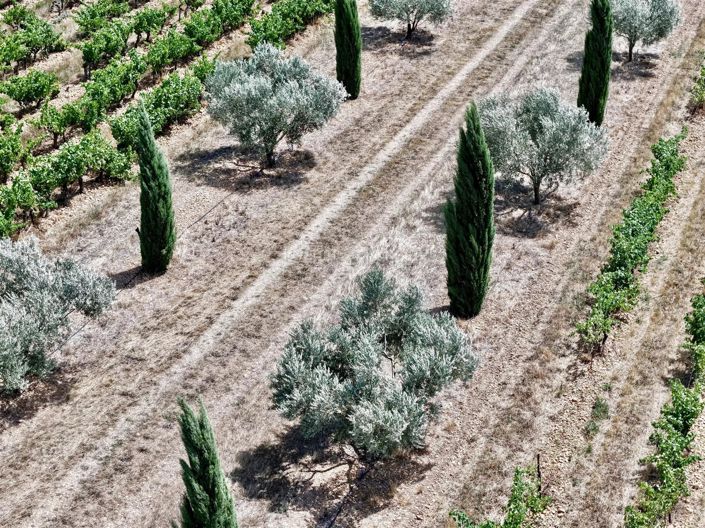 Image No.12-10 Bed House for sale