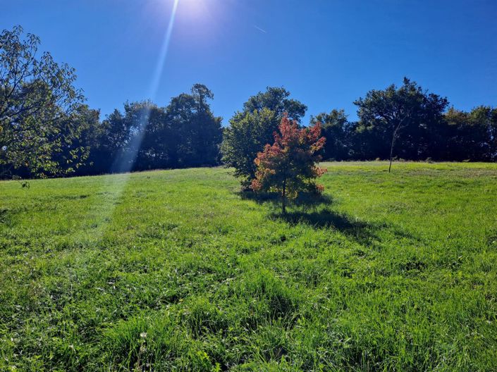 Image No.22-Maison de 3 chambres à vendre à Fleurance