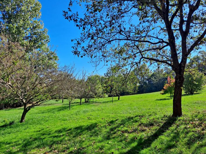 Image No.23-Maison de 3 chambres à vendre à Fleurance