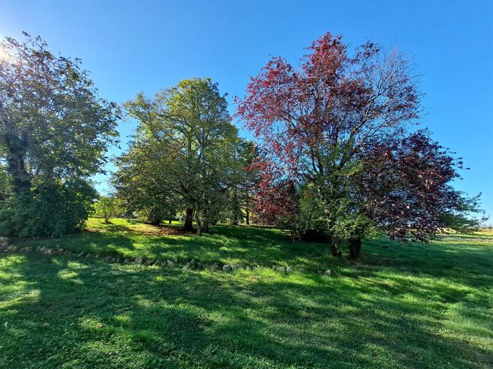 Image No.5-Maison de 3 chambres à vendre à Fleurance