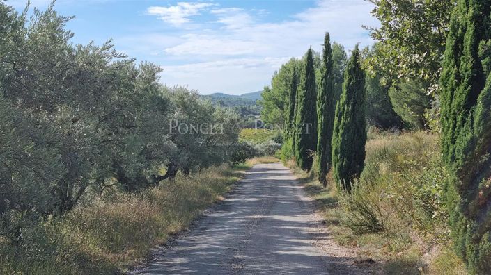 Image No.7-House for sale