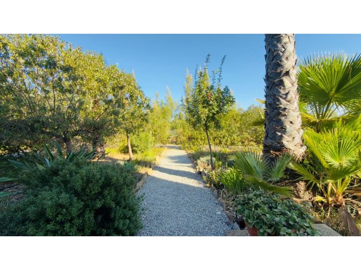 Image No.39-Maison de 6 chambres à vendre à Tavira