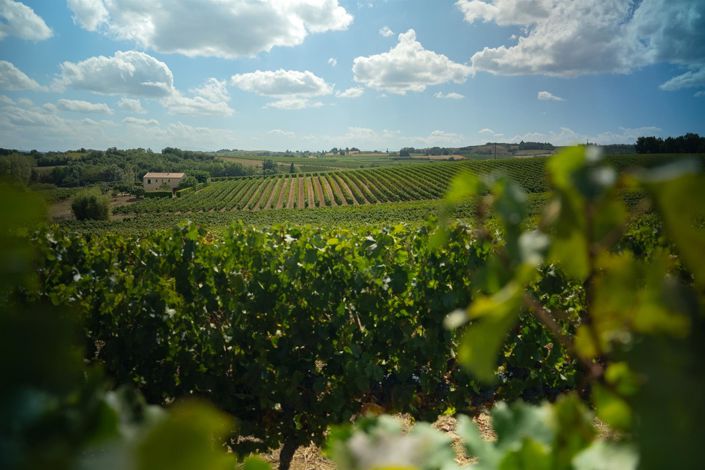 Image No.30-5 Bed House for sale