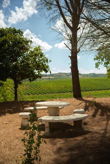 Image No.31-5 Bed House for sale