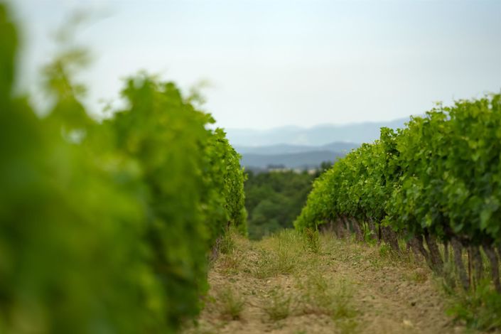 Image No.33-5 Bed House for sale