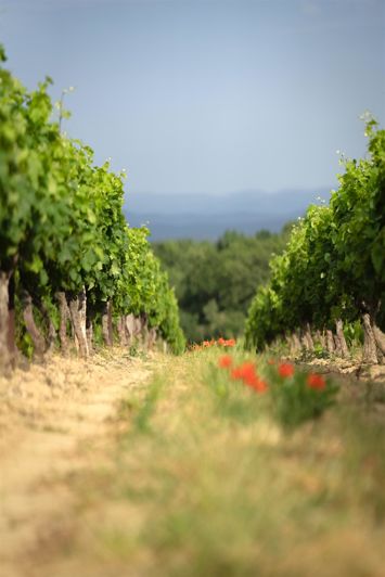 Image No.38-5 Bed House for sale