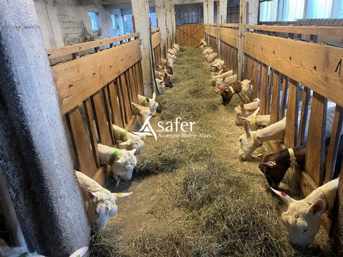 Image No.13-3 Bed House for sale