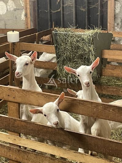 Image No.14-Maison de 3 chambres à vendre à Moûtiers