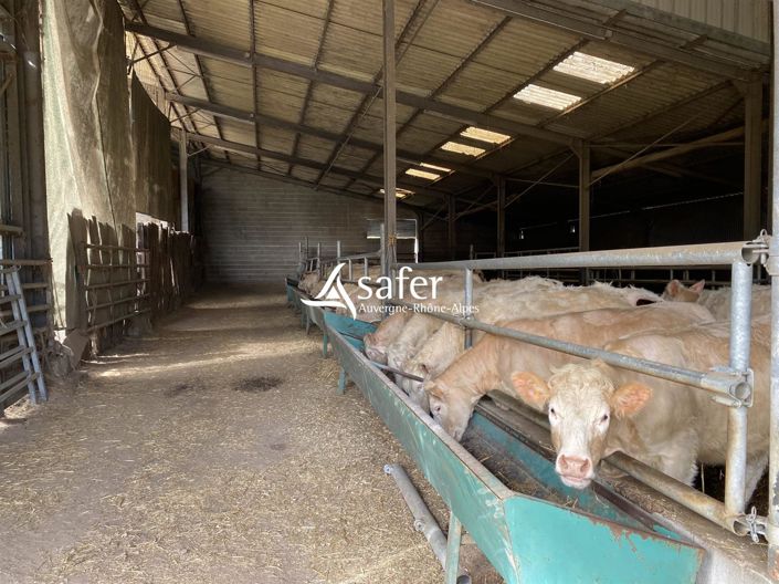 Image No.22-Maison à vendre à Audes