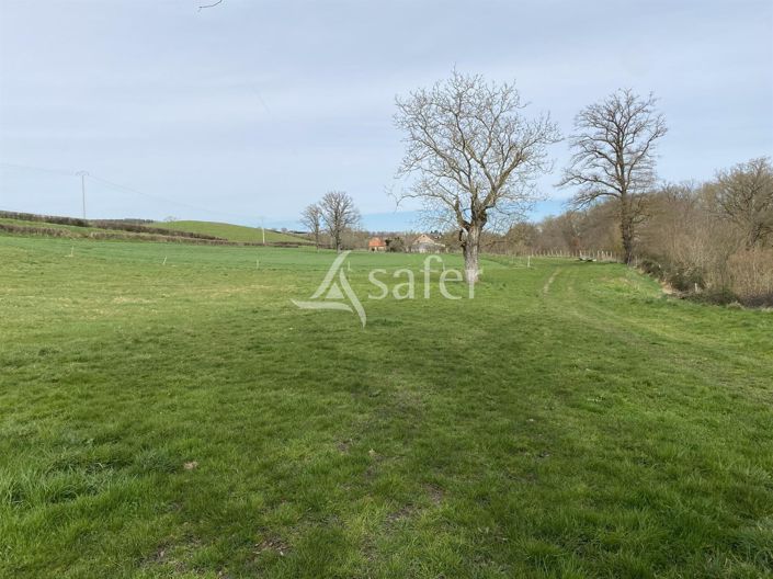 Image No.5-House for sale