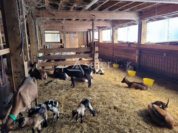 Image No.7-Maison à vendre à Moûtiers