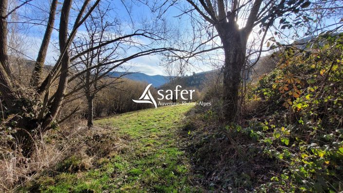 Image No.21-Maison de 7 chambres à vendre à Haute-Loire