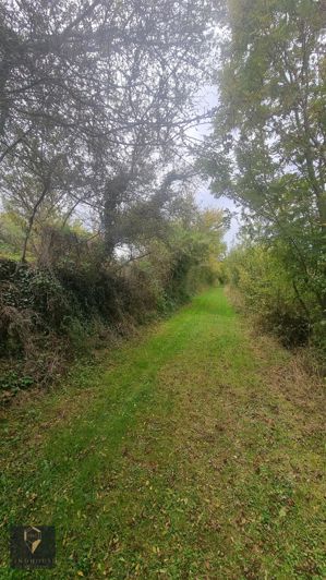 Image No.20-8 Bed House for sale