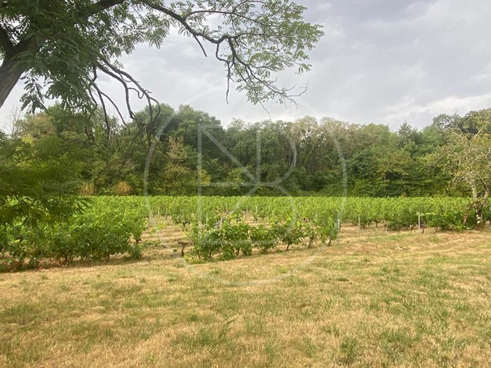 Image No.18-Maison de 2 chambres à vendre à Moulon