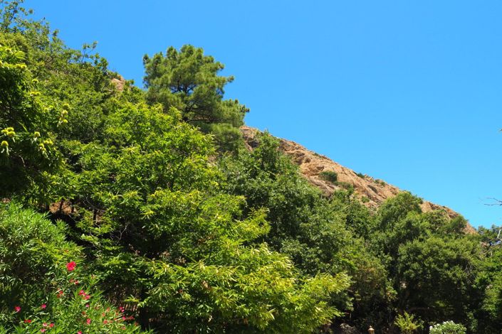 Image No.14-5 Bed House for sale