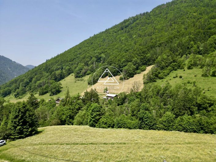 Image No.21-Maison de 3 chambres à vendre à Saint-Jean-d'Aulps