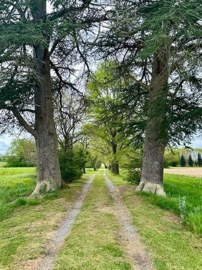 Image No.3-4 Bed Property for sale