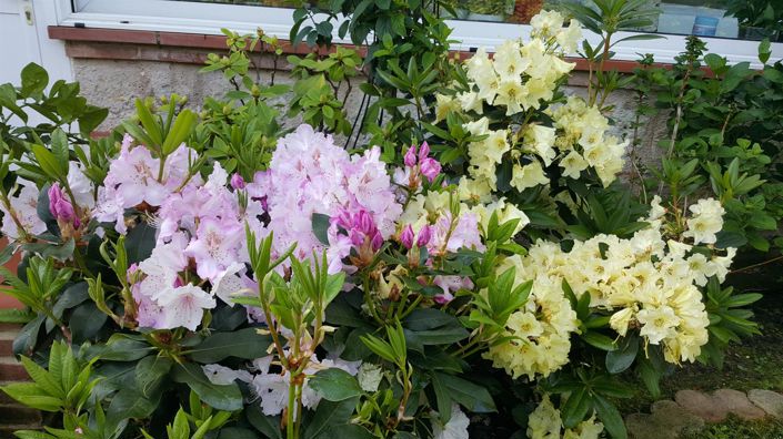 Image No.50-5 Bed House for sale