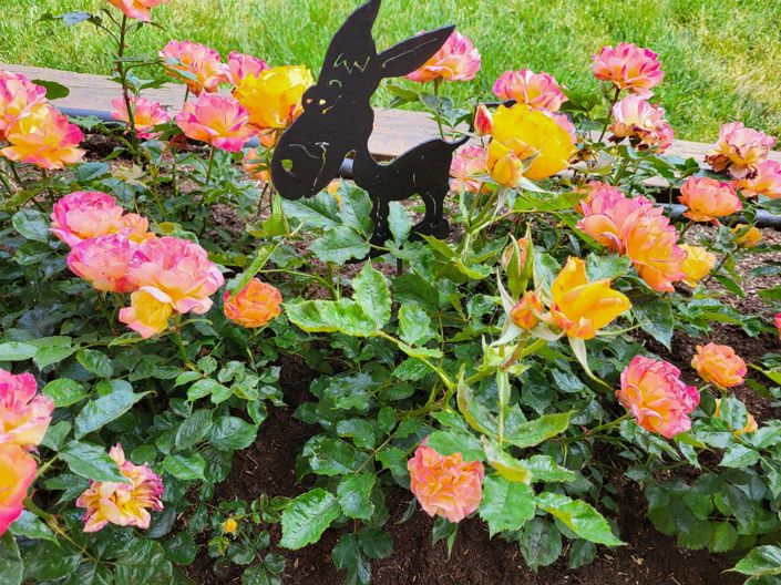 Image No.51-5 Bed House for sale