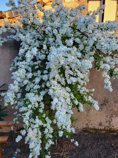 Image No.53-5 Bed House for sale