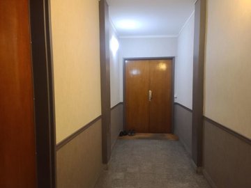apfzj81hls93e29a11