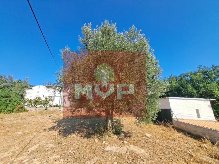 Image No.40-Maison de 5 chambres à vendre à Faro City
