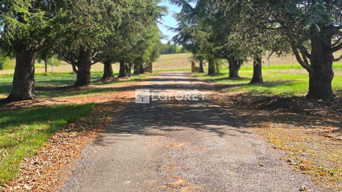 Image No.2-8 Bed House for sale