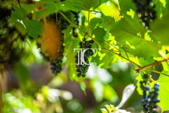 Image No.27-4 Bed House for sale