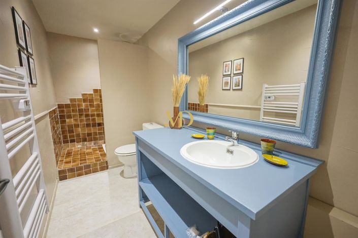 Image No.25-Maison de 7 chambres à vendre à Roussillon